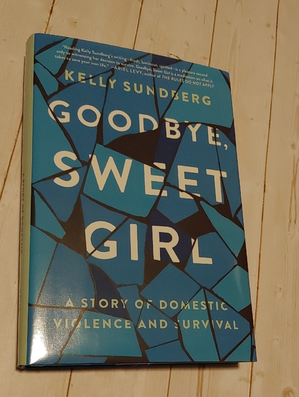 Goodbye, Sweet Girl Adult Non Fiction Book By Jelly Sundberg
